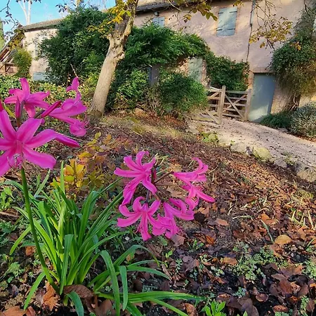 Lobersane La Maison Du Meunier * Saint-Laurent (Haute-Garonne)
